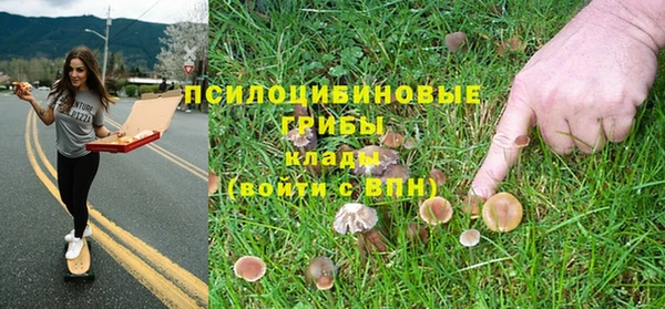не бодяженный Арсеньев
